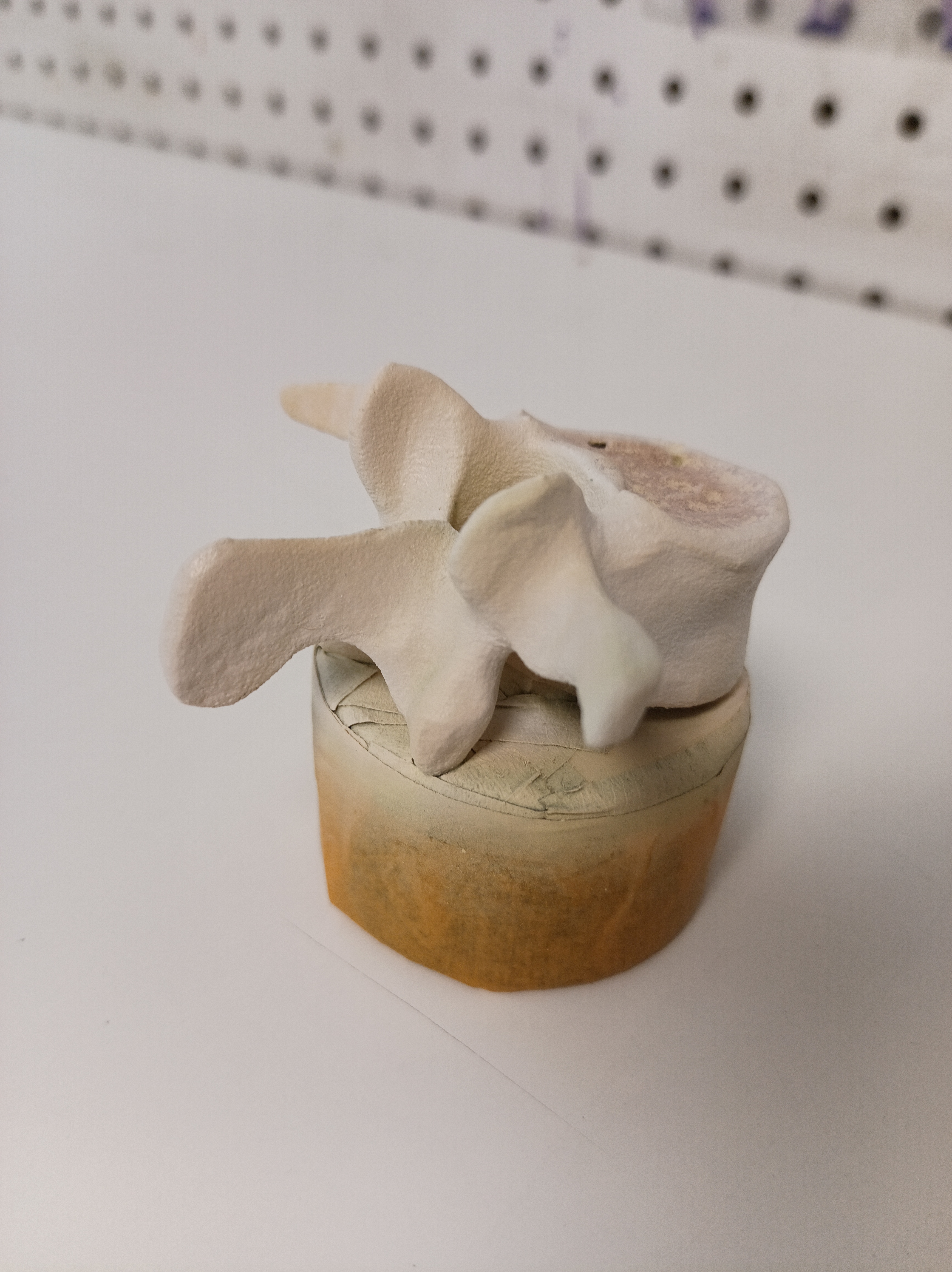 Aero Styl Centre De Formation Aerographie Angers Maine et loire Lombaire imprimé en 3d puis peint à l'aérographe